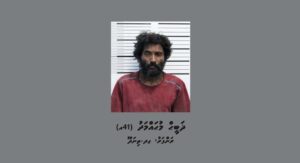ފަތުރުވެރިންގެ ދަބަހެއް ވަގަށް ނަގައި އަގު ބޮޑު ސާމާނު ވިއްކާލި މީހަކު ހައްޔަރުކޮށްފި