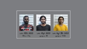 ގއ. ވިލިނގިލީގައި ހިންގި މަސްތުވާތަކެތީގެ އޮޕަރޭޝަނެއްގައި ތިން މީހަކު ހައްޔަރު ކޮށްފި