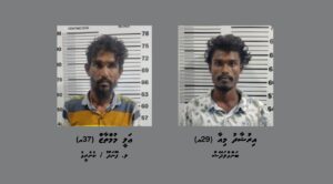 ގއ. ވިލިނގިއްޔަށް މަސްތުވާތަކެތި އެތެރެކުރަން އުޅުނު ދެ މީހުންގެ ބަންދަށް 15 ދުވަސް ޖަހައިފި