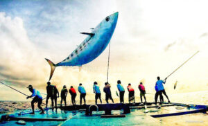 މަސްވެރިންނަށް ޚާއްޞަކޮށްގެން ދެވޭ އެވޯޑުތަކަށް ކުރިމަތިލުމުގެ ފުރުޞަތު ހުޅުވާލައިފި