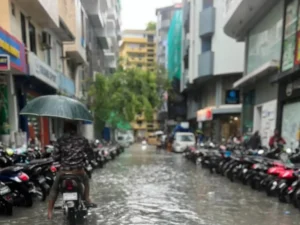 މޫސުން ގޯސް ދުވަހެއް، ޔެލޯ އެލާޓާއި ވައިޓް އެލާޓް ނެރެފި