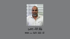 ހުޅުމާލޭގައި ކާރެއް ތެރޭގައި ރަހީނުކުރި ދިވެއްސަކު ހައްޔަރުކޮށްފި