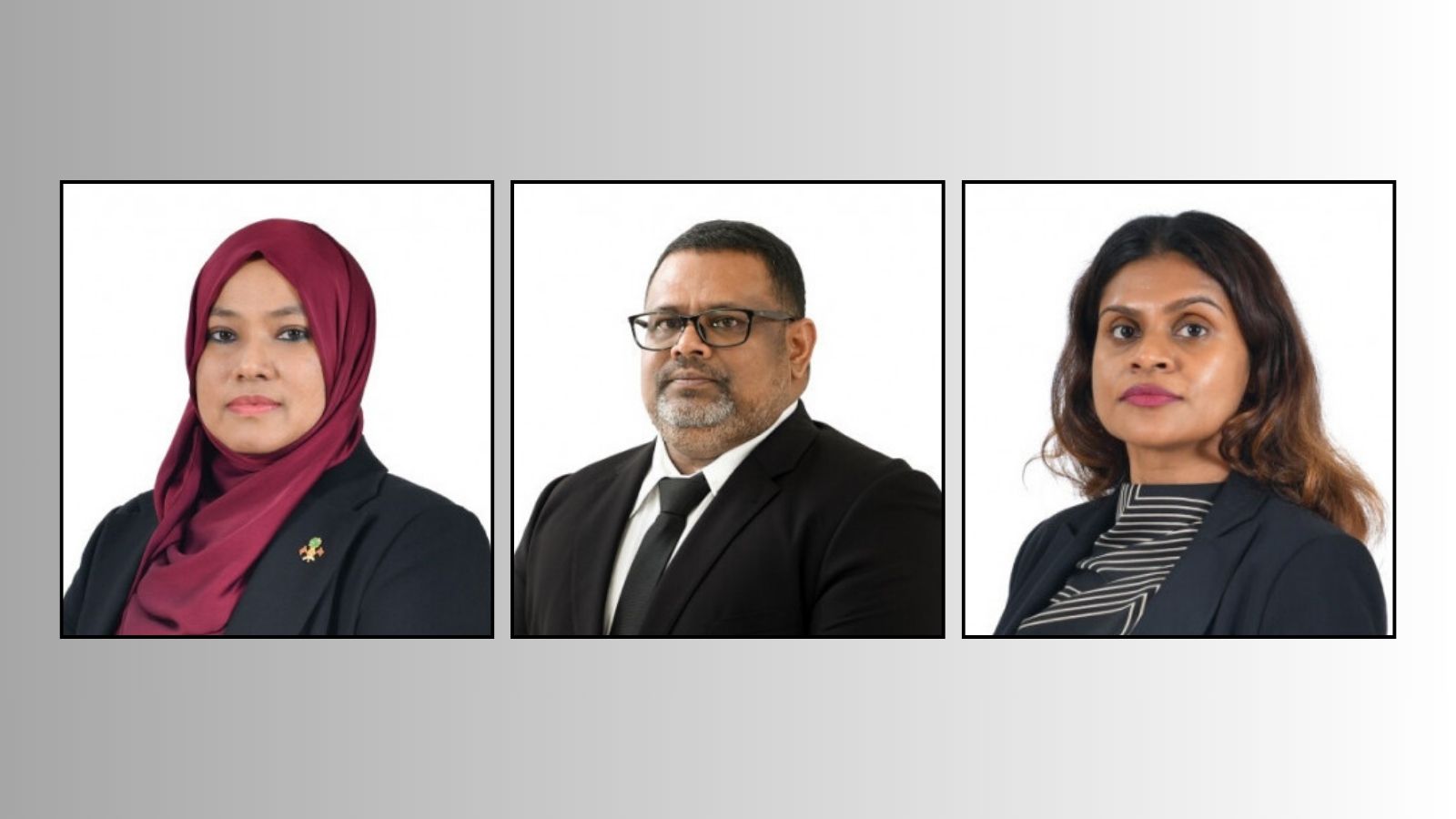 ނިއުޝާ އާއި ފިލްޒާ އަދި ތަލްހަތު މަގާމުގައި ބައިތިއްބަން މަޖިލީހުން ފާސްކޮށްފި