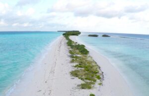 ދިރާސާކުރާ ޓީމެއްގައިި މަސައްކަތް ކުރަމުންދިޔަ 15 އަހަރުގެ ކުއްޖަކު ދޯންޏެއްގެ ބުރަފަތީގައި މަރުވެއްޖެ