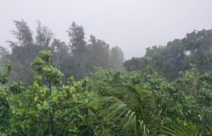 ފާއިތުވި 24 ގަޑިއިރުގެ އެންމެ ގިނައިން ވާރޭ ވެހުނީ އައްޑޫ ސިޓީ ހިތަދޫއަށް