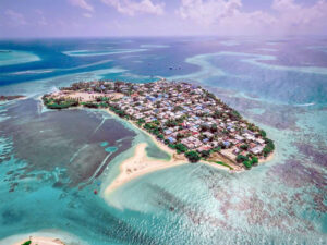 ގުރައިދޫގައި ނިޔާވި ތުއްތު ކުއްޖާގެ ހަށުގަޑު ޕޯސްޓްމޯޓަމް ހެދުމަށް އިންޑިއާއަށް ފޮނުވައިފި