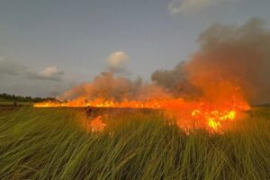 އައްޑޫ ސިޓީ، ހުޅުދޫ ޗަސްބިމުގައި ރޯވި އަލިފާން، އެމްއެންޑީއެފް ހުޅުމީދޫ ފަޔަރ ސްޓޭޝަނުން ނިއްވާލައިފި