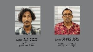 ހޯރަފުއްޓަށް މަސްތުވާތަކެތި އެތެރެކުރަން އުޅުނު ދެ މީހަކު ހައްޔަރުކޮށްފި