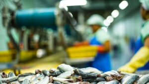 ފިޔޯރީގައި މަސްކިރާ ފެކްޓްރީއެއް ޤާއިމުކުރުމަށް އަންނަ މަހު ޗައިނާގެ ކުންފުންޏަކާ އެކު ސޮއިކުރަނީ