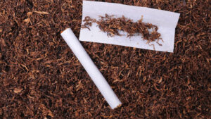 ދުންފަތް ޖީލަކަށް މަނާކުރުމުގެ ގާނޫނީ އިސްލާހު ވަގުތީ ކޮމިޓީން ފާސްކޮށްފި