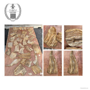 ވަގަށް ބޭރުކުރަން އުޅުނު 582 ކިލޯގެ މިޔަރާއި މަޑިމަހުގެ މައްސަލައެއް ތަހުޤީޤު ކުރަން ފަށައިފި