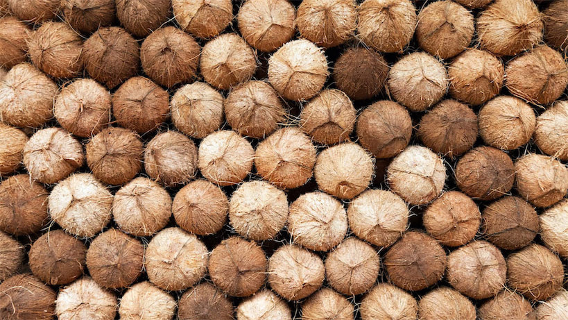 ރޯދައަށް ޚާއްސަކޮށްގެން އެސްޓީއޯއިން ކާށި ޝިޕްމަންޓް ގެނެސްފި، ކާއްޓެއްގެ އަގަކީ 5 ރުފިޔާ