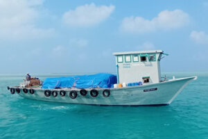 ދޯންޏެއް އޮޔާދާތީ ސަމާލުވުމަށް އެދިއްޖެ