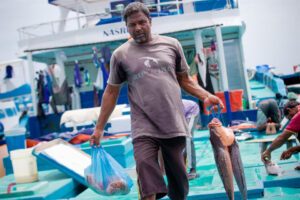 ފަރުމަސް އާލާކުރުމުގެ "މެރިން ހެޗަރީ ސްކިލްސް" ޕްރޮގްރާމަށް ފުރުޞަތު ހުޅުވާލައިފި