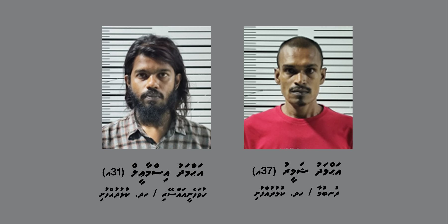 މިލަންދޫއަށް މަސްތުވާތަކެތި އެތެރެކުރަން އުޅުނު ދެ މީހަކު ހައްޔަރުކޮށްފި