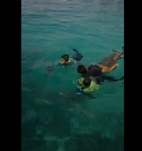 ފުލުހުން، ސިނަމާލެ ބްރިޖުން މޫދަށް ފުންމާލި މީހަކު ސަލާމަތްކޮށްފި