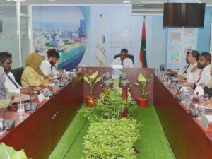 ކައުންސިލަށް ނުއަންގައި 25 މިލިއަންގެ މަޝްރޫއެއް ހިންގާ ކަމަށް ބުނެ އާޒިމަށް ބޮޑެތި ތުހުމަތުތަކެއް