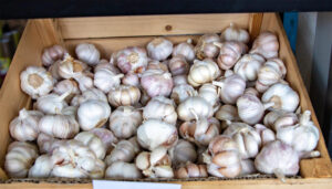 ބާޒާރުގެ ލޮނުމެދުގެ އަގު ދަށަށް: އެސްޓީއޯއިން މުދާ ނެރުމާއެކު އަގުތައް ތިރިވަނީ