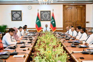 ވަކި ވިޔަފާރިތަކަކުން ބިދޭސީންގެ ކޯޓާ ފީ މައާފުކުރެވޭ ގޮތަށް ގާނޫނު އިސްލާހުކޮށް ކެބިނެޓަށް ބާރު ދެނީ