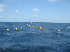 އެކުއަކަލްޗާގެ މަސައްކަތަށް ފަޅުތަކާއި ކަނޑުގެ ސަރަޙައްދުތައް ކުއްޔަށް ދޫކުރުމުގެ ގަވާއިދަށް އިސްލާހު ގެނެސްފި