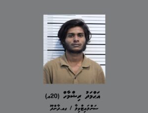 މަންދީގަޔަށް ކަޅު ތެޔޮ ޖެހިކަމަށް ތުހުމަތުކުރެވޭ މީހާ ދޫކޮށްލާއިފި