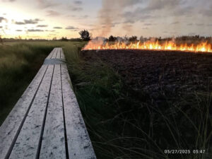 އައްޑޫ ސިޓީ މީދޫ މަތިކިޅި އިކޯ ގާޑެންއަށް ގެއްލުން ދިނުމަށް ގަސްތުގައި އަލިފާން ރޯކުރާކަމަށް ތުހުމަތު ކޮށްފި