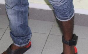 ވާނުވާގައި ތިބި ދެމީހަކު ޓެގް އެޅުވުމަށްފަހު ދޫކޮށްލައިފި