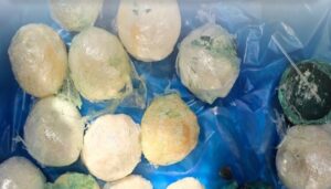 ކަސްޓަމްސްއިން 3.6 ކިލޯގެ މަސްތުވާތަކެތި އަތުލައިގަތް