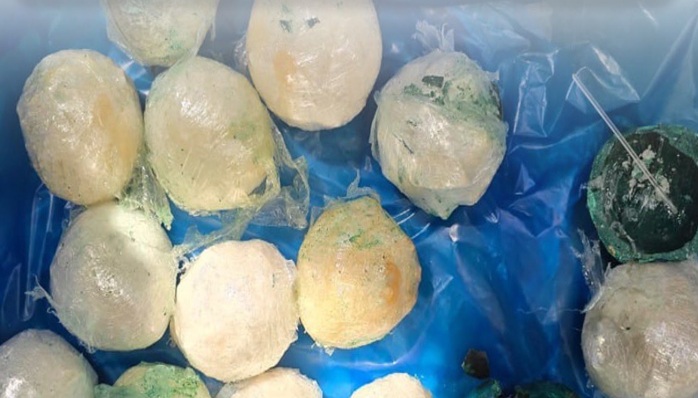 ކަސްޓަމްސްއިން 3.6 ކިލޯގެ މަސްތުވާތަކެތި އަތުލައިގަތް