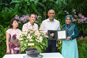 ރައީސްގެ ދެކަނބަލުންގެ ނަންފުޅަށް ނިސްބަތްކޮށް ސިންގަޕޫރުގައި އޯކިޑް ގަހަކަށް ނަން ދީފި