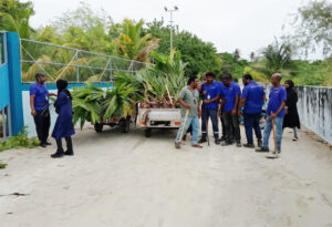 ރައީސްގެ ވައުދުގެ ފުއްދުމަށް ސްޓެލްކޯއިން ފަސްލައްކަ ގަސް އިންދަނީ