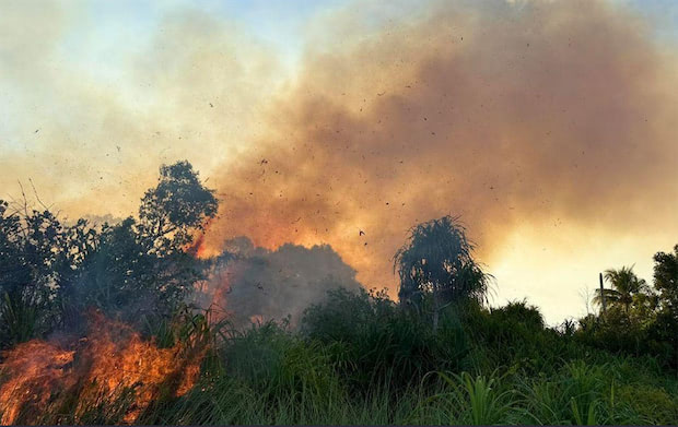 ފުވައްމުލަކުގައި ޗަސްބިމެއްގައި ދެވަނަ ފަހަރަށް ރޯވި އަލިފާންގަނޑު 6 ގަޑިއިރުން ކޮންޓްރޯލްކޮށްފި