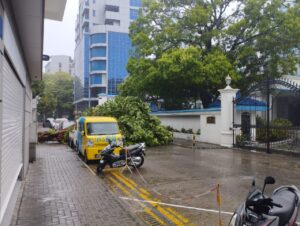 ވިއްސާރައިގެ ސަބަބުން މާލޭގައި ގަހެއް ވެއްޓި އޯކިޑުމަގު ބަންދުވެއްޖެ