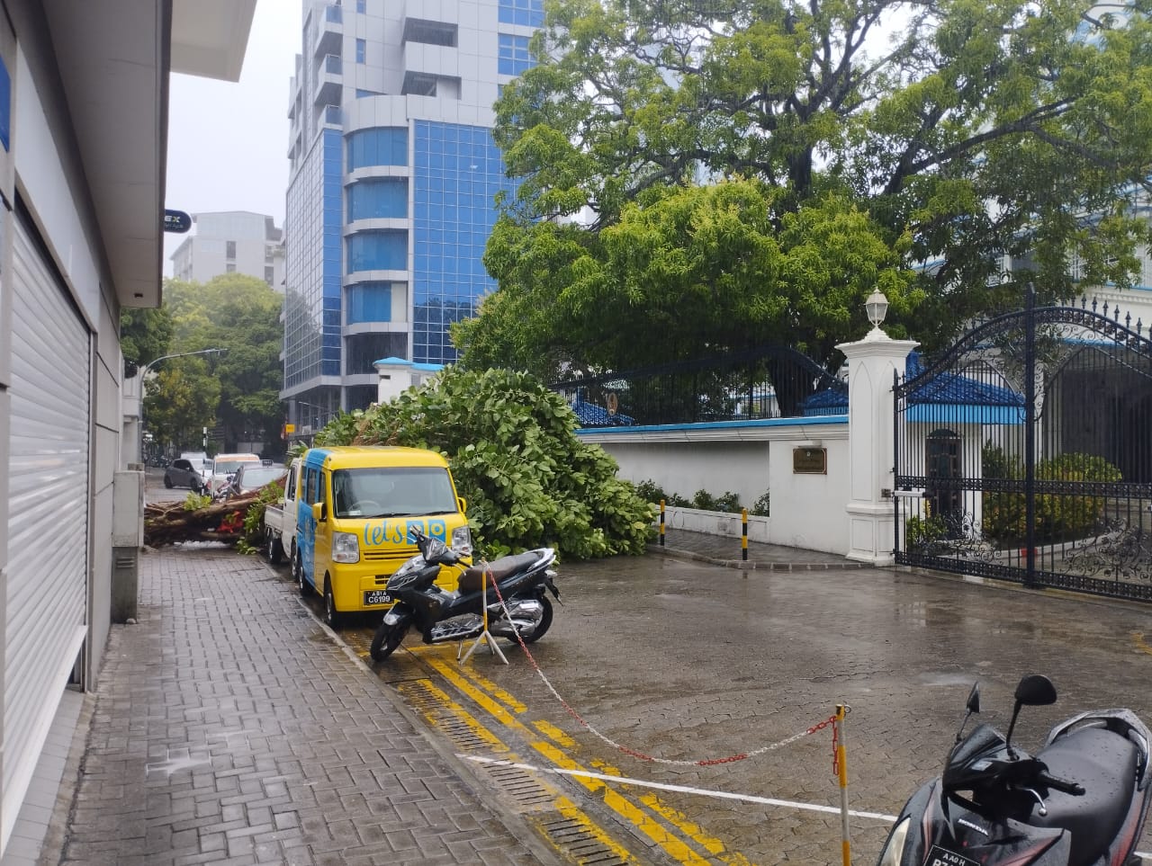 ވިއްސާރައިގެ ސަބަބުން މާލޭގައި ގަހެއް ވެއްޓި އޯކިޑުމަގު ބަންދުވެއްޖެ