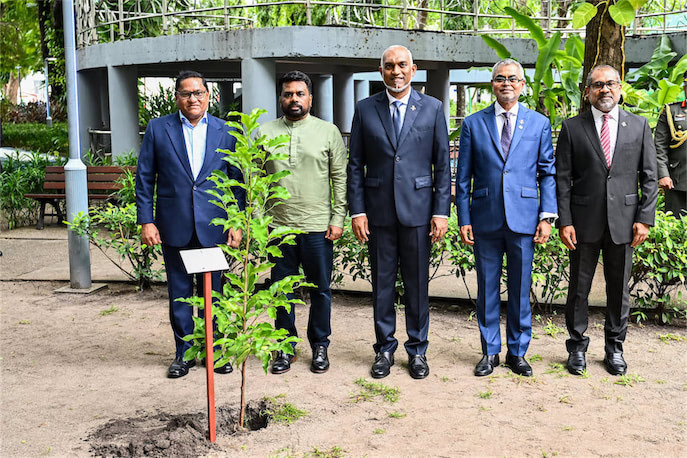 ފަސް މިލިއަން ގަސްއިންދުމުގެ ޕްރޮގްރާމްގައި ރައީސް ޑިސަނަޔަކެ ބައިވެރިވެވަޑައިގެންފި