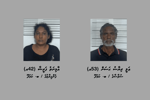 ބ. ކަމަދޫންއިން ދެ މީހަކު މަސްތުވާތަކެއްޗާއެކު ހައްޔަރުކޮށްފި