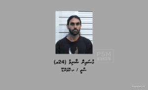 ގިނަ އަދަދެއްގެ މަސްތުވާތަކެއްޗާއެކު މާލެއިން މީހަކު ހައްޔަރު