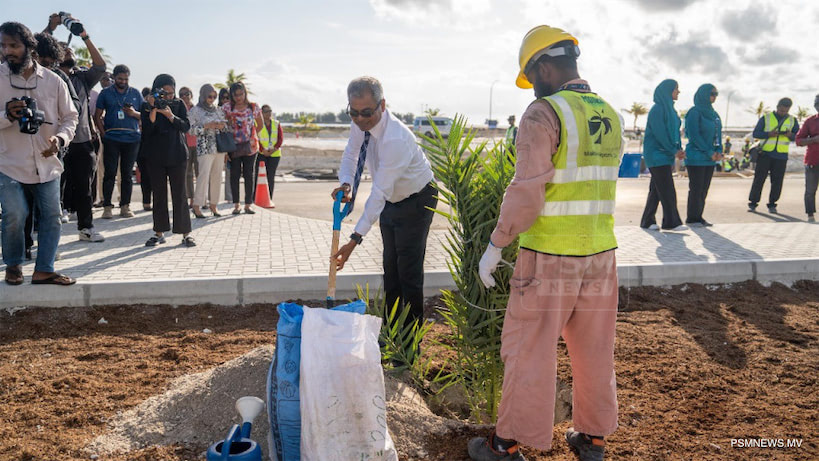 އެމްއޭސީއެލްއިން 100،000 ގަސް އިންދަނީ