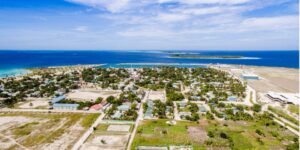 އދ. މާމިގިލީ ކައިރިއަށް ފީނަން ފޭބި ކުއްޖަކު މޫދުގައި މަރުވެފައި އޮއްވާ ފެނިއްޖެ