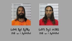 ބާރަށުން މަސްތުވާތަކެތީގެ ވިޔަފާރި ކުރާ ދެ މީހަކު ހައްޔަރު
