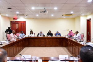 މީޑިއާ ބިލުގައި ހުރި ކަންކަން ތަންފީޒެއް ނުކުރެވޭނެ: ބްރޯޑްކޮމް