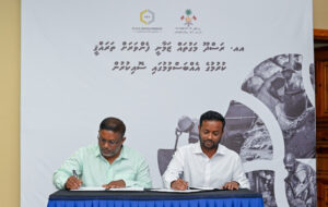 ރަސްދޫ މަގުތައް ތަރައްޤީކުރުމުގެ މަޝްރޫޢު އާރުޑީސީއާ ހަވާލު ކޮށްފި