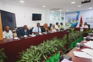 މާލޭގެ ޕާކުތަކާއި މިސްކިތްތަކުގައި ދިވެހި ބޭސްވެރިކަމަށް ބޭނުންވާ ގަސްގަހާގެހި އިންދަން ނިންމައިފި