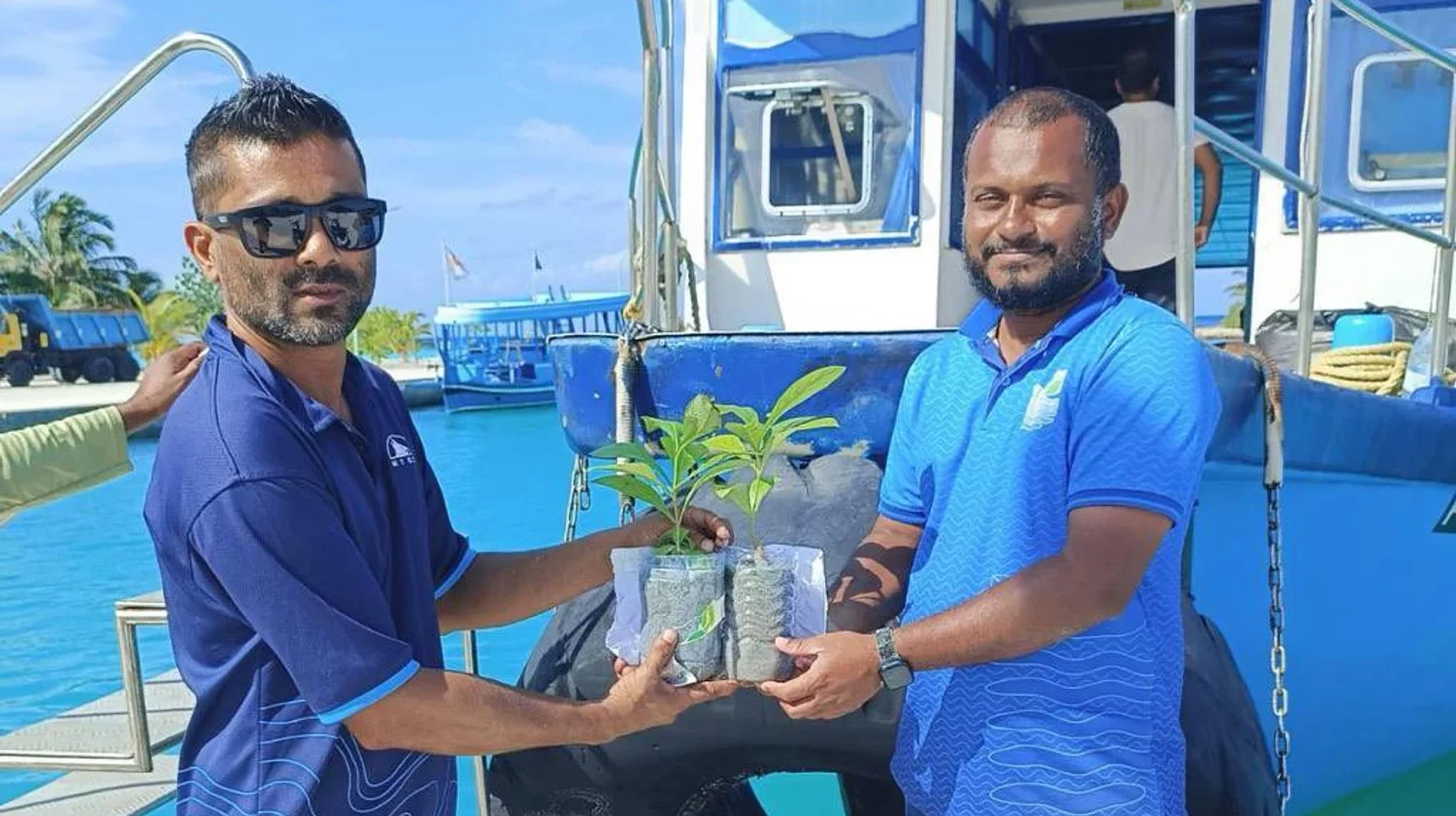 ތިން އަތޮޅެއްގައި ހައިވަކަރު ގަސް ބެހުމުގެ މަސައްކަތް ފުރިހަމަ ކޮށްފި