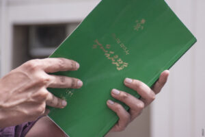 ދިވެހިރާއްޖޭގެ ފެހި ގާނޫނުއަސާސީއަށް 17 އަހަރު: ދުސްތޫރީ ދަތުރުގެ ތާރީޚީ ހަނދާންތައް!