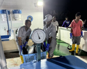 މިފްކޯއިން ފުވައްމުލަކުން މަސް ގަތުން ފަށައިފި، ޕްރޮސެސިންގ ސެންޓަރު މިއަހަރު ހުޅުވޭނެ