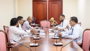 ފެނަކައިގެ ކޮރަޕްޝަން މައްސަލައިގައި ޝާމިލުވާ 13 އިސްވެރިންގެ ނަންތައް މާލިއްޔަތު ކޮމިޓީއަށް ފޮނުވައިފި