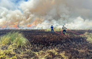 މަތިކިޅި އިކޯ ގާޑެންގެ 80 ޕަސެންޓް އަނދާ ހުލިވެއްޖެ