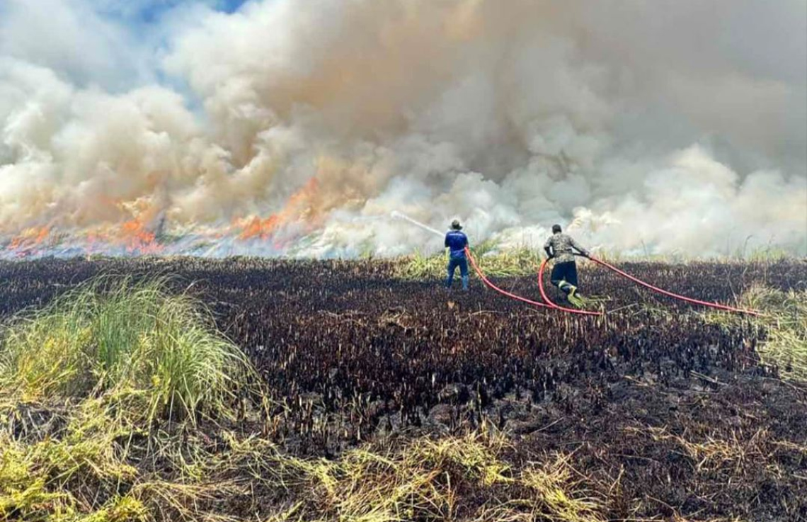 މަތިކިޅި އިކޯ ގާޑެންގެ 80 ޕަސެންޓް އަނދާ ހުލިވެއްޖެ