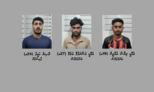 ފުޅާ ދާއިރާއެއްގައި ބަނގުރަލުގެ ވިޔަފާރިކޮށް ބަނގުރާ ބޭނުންކުރާ ކަމުގެ ތުހުމަތުގައި 3 މީހަކު ހައްޔަރު ކޮށްފި